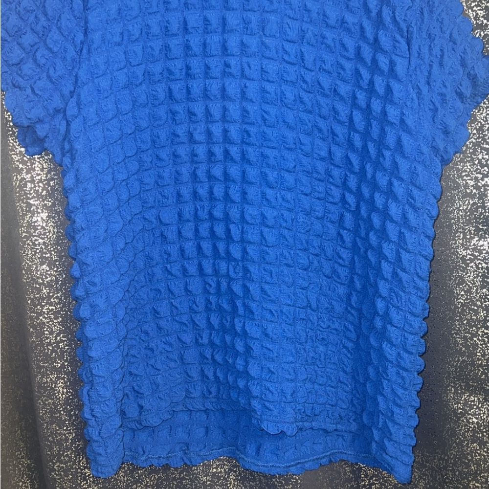 Jolie & Joy Blue Textured Top